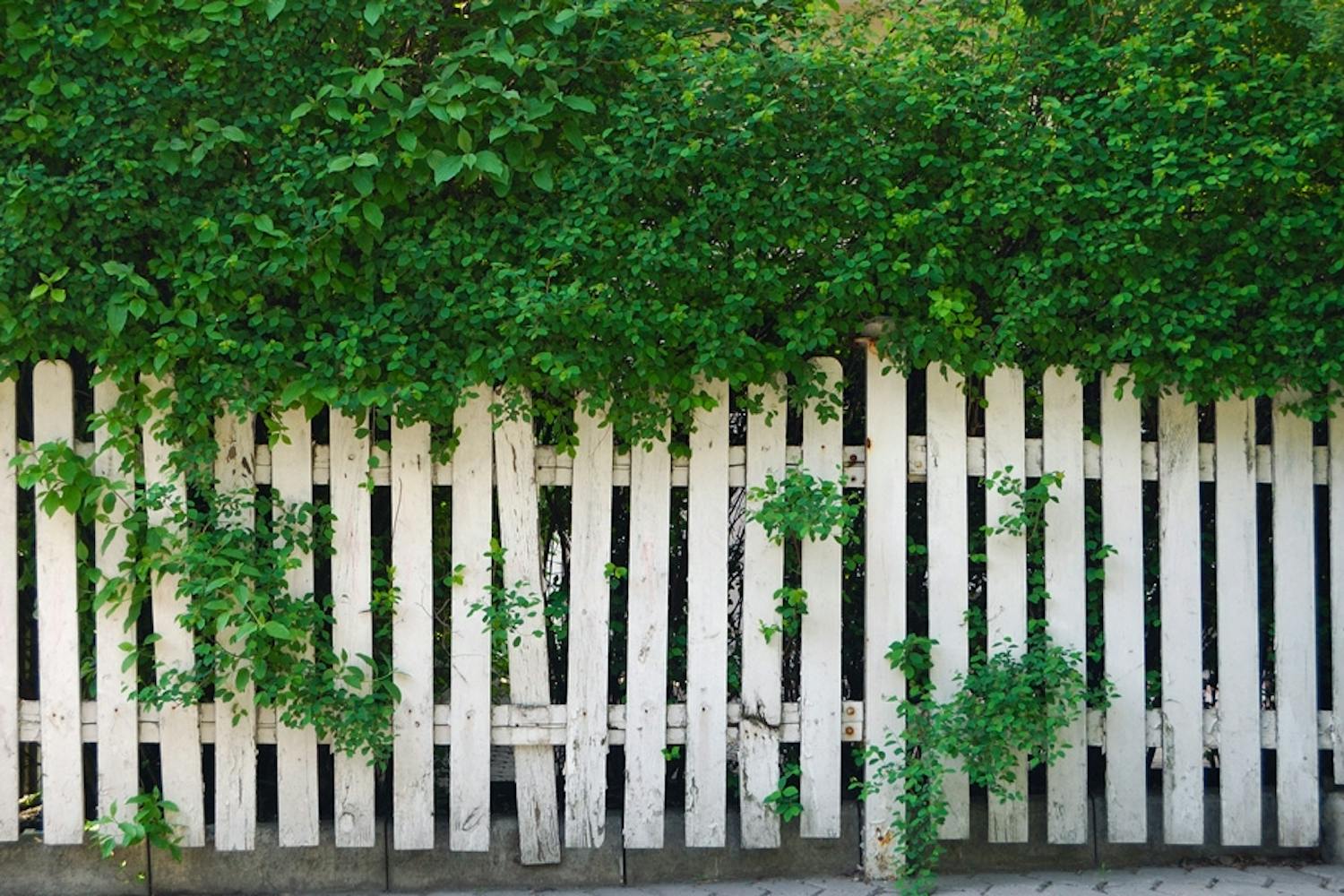Gi gjerdet 5 år ekstra Gi gjerdet 5 år ekstra